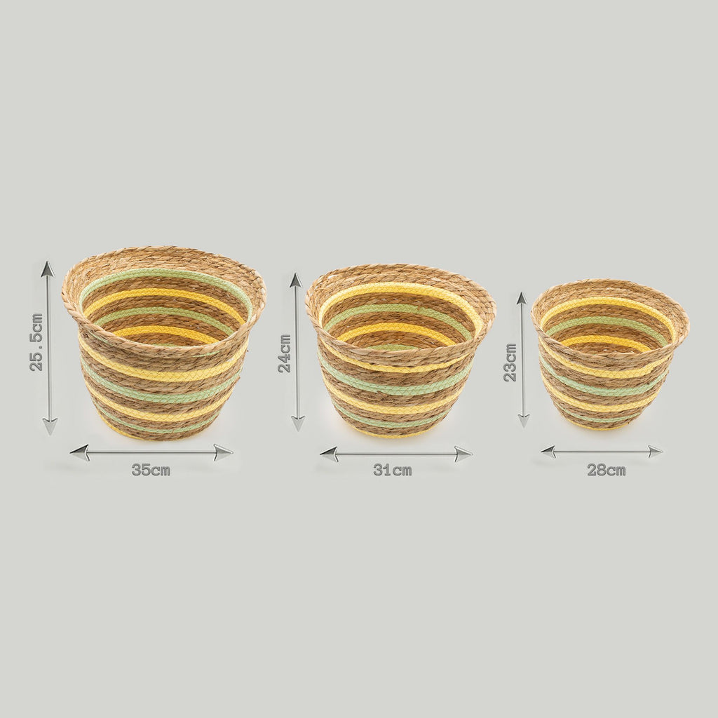 Seagrass Vase-Shaped Baskets, Yellow and Green, Set of 3 – view 5