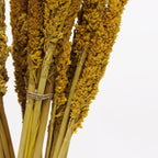 Cantal Grass Bunch - Amber (Set of 6) – view 2