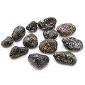 Bag of 12 Guinea Fowl Jasper Tumble Stones - Medium African