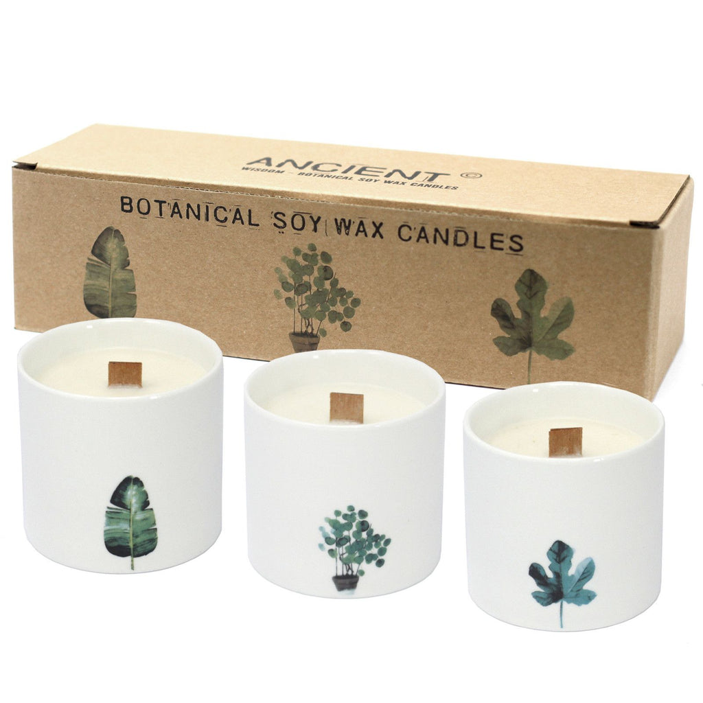 Large Botanical Candles Marsh Violet - Pack of 3 – view 4