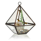 Glass Terrarium, Small Diamond – view 2