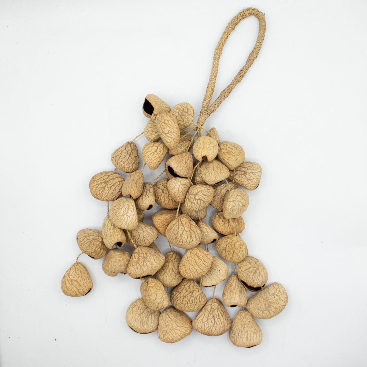 Large Pangi Seed Shell Shaker - String of 50 Natural Shells – view 5
