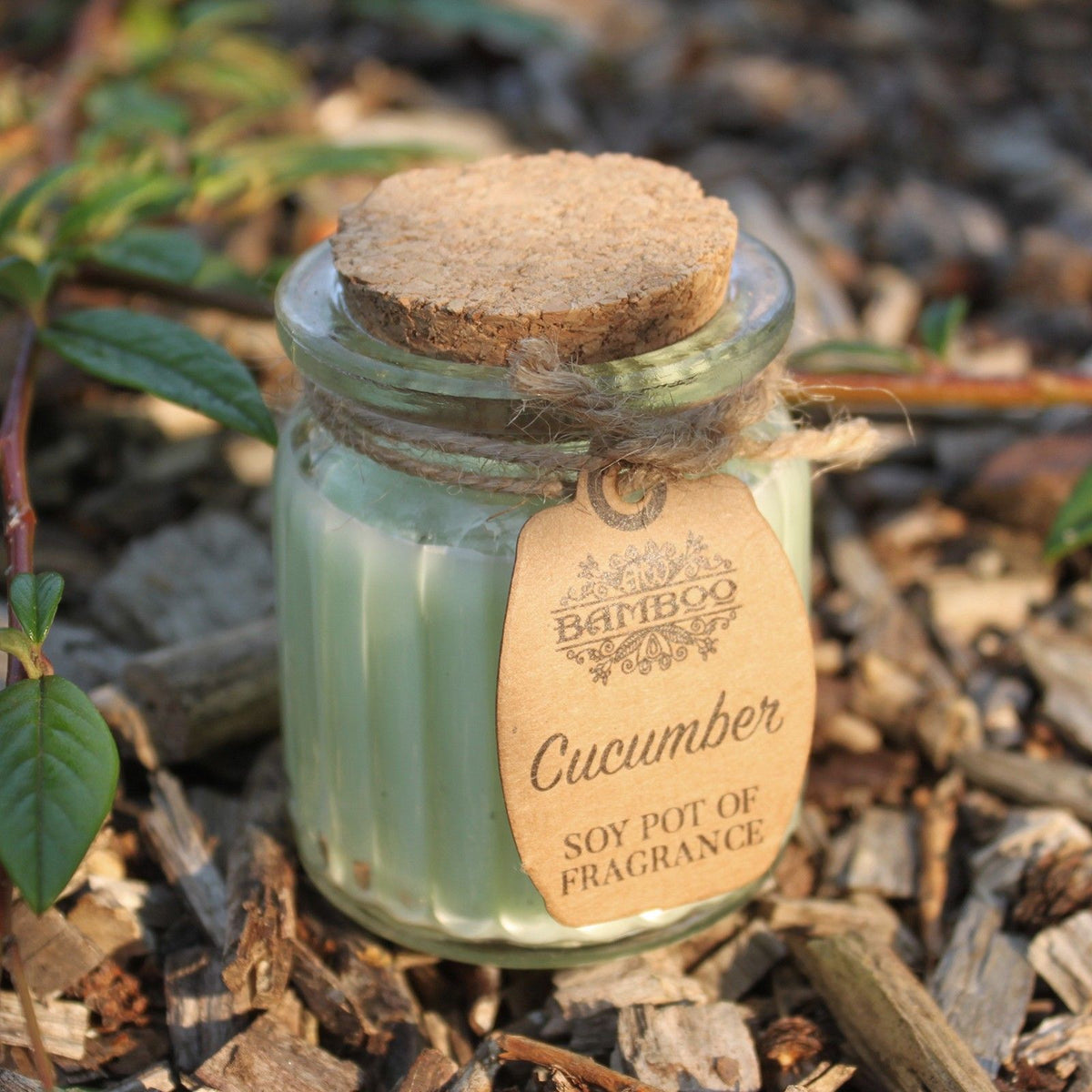 Cucumber Soy Wax Fragrance Candle Pot – view 2