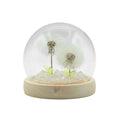 Floral Glow Dome - 2 Dandelions, LED USB