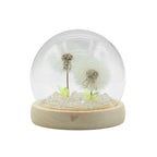 Floral Glow Dome - 2 Dandelions, LED USB
