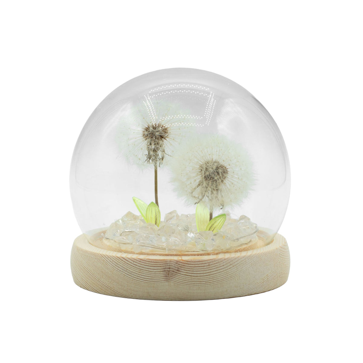 Floral Glow Dome - 2 Dandelions, LED USB