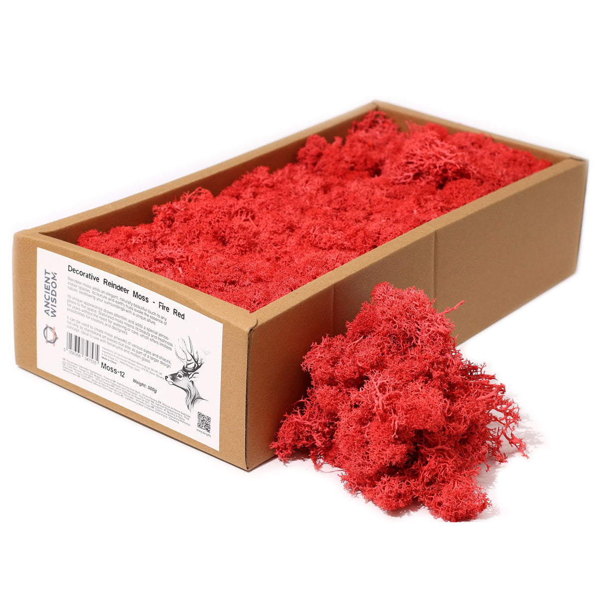Preserved Reindeer Moss - Fire Red - 635 g Box