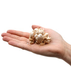 Finger Quartz Cluster Pack, Minimum 5 Pieces per 1kg – view 10