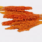 Cantal Grass Bunch - Orange (Set of 6) – view 3