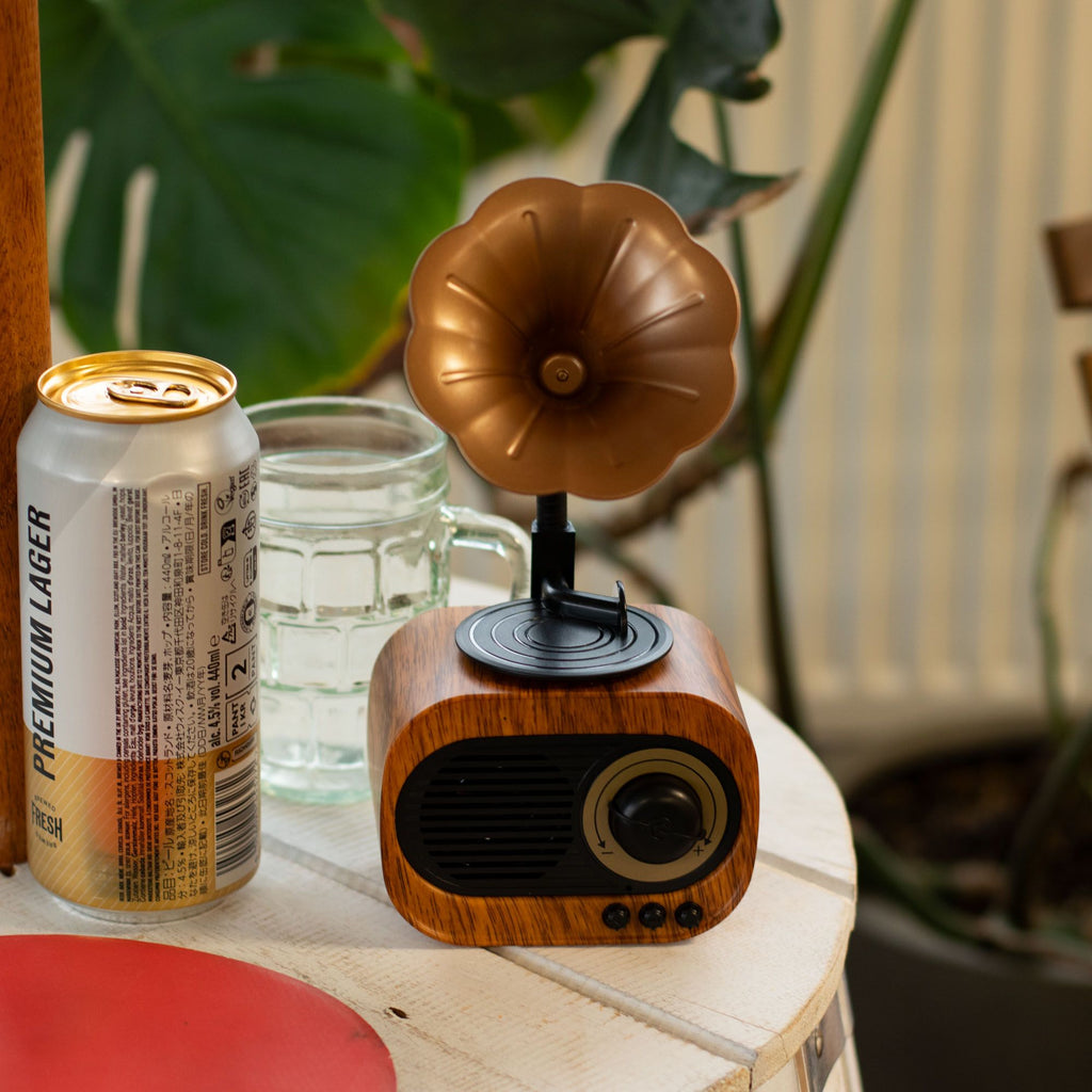 Retro Gramophone Bluetooth Speaker & FM Radio – view 3