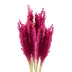 Cantal Grass Bunch - Pink (Set of 6) – view 2
