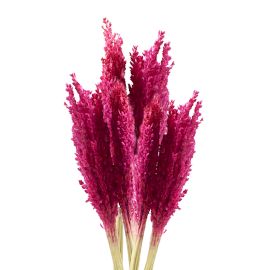 Cantal Grass Bunch - Pink (Set of 6) – view 2