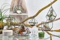 Glass Terrarium, Small Diamond