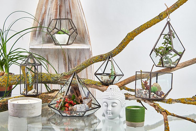 Glass Terrarium, Cube on Corner – view 5