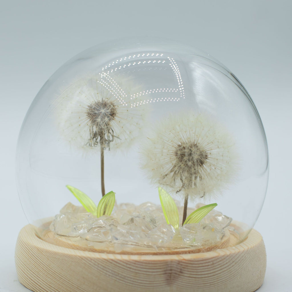 Floral Glow Dome - 2 Dandelions, LED USB – view 2