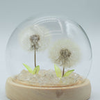 Floral Glow Dome - 2 Dandelions, LED USB – view 2