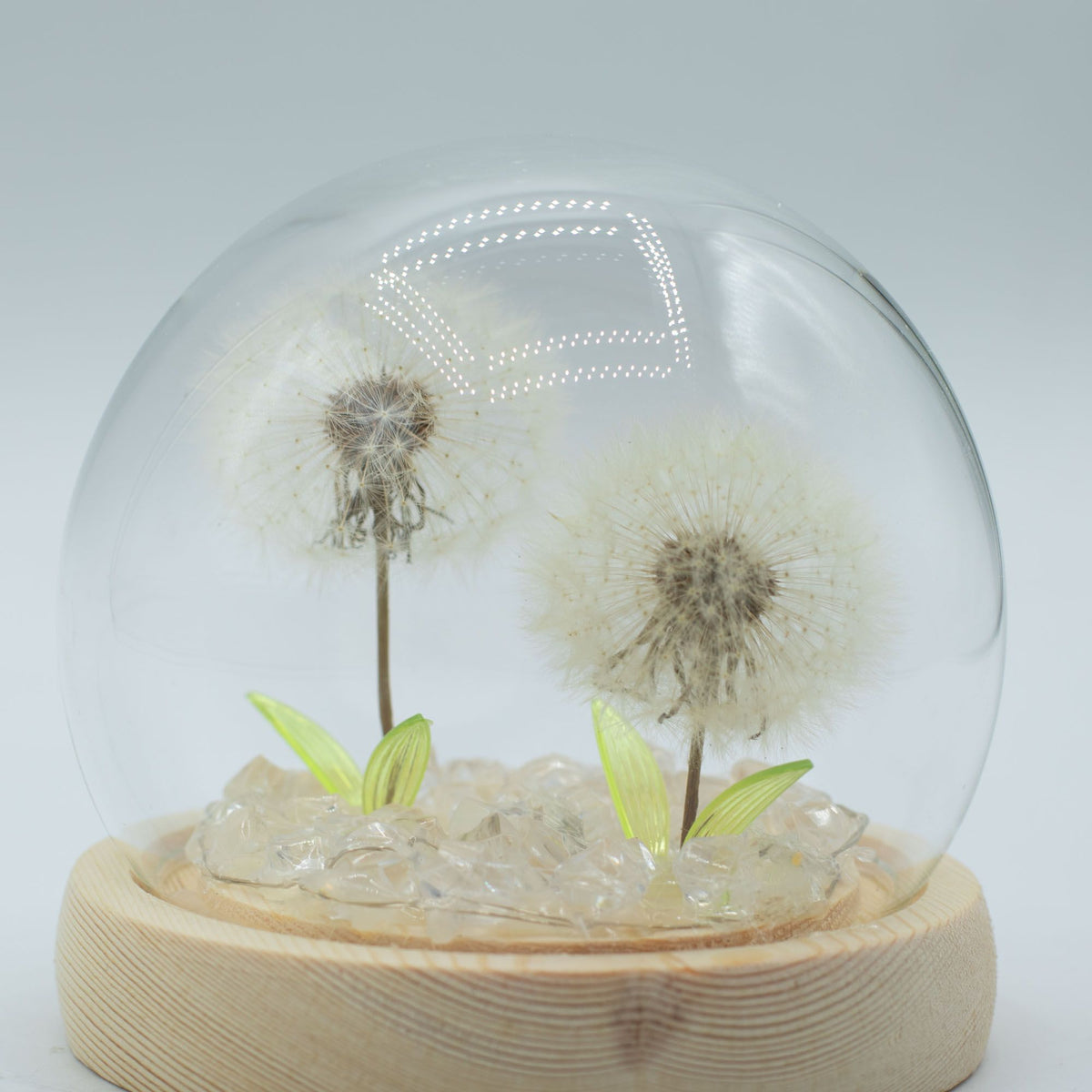 Floral Glow Dome - 2 Dandelions, LED USB – view 2