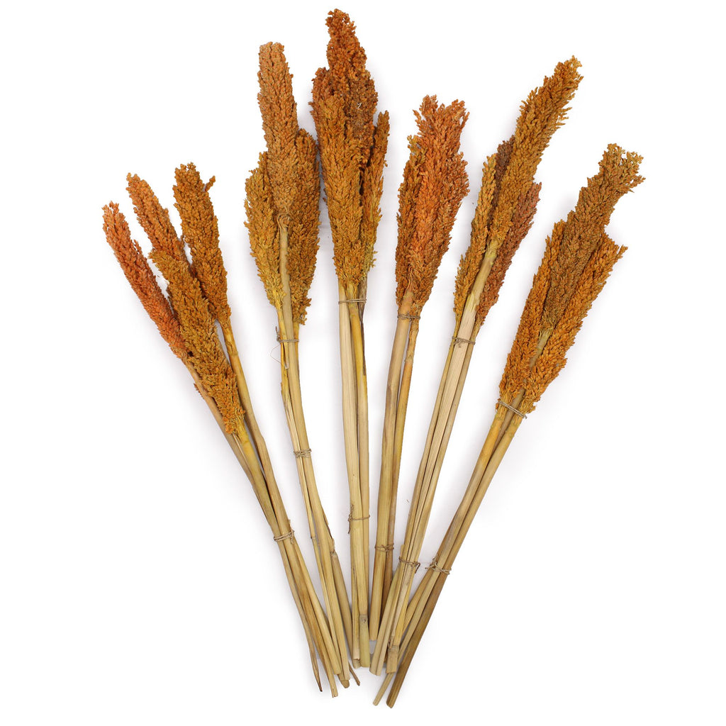 Cantal Grass Bunch - Orange (Set of 6) – view 2