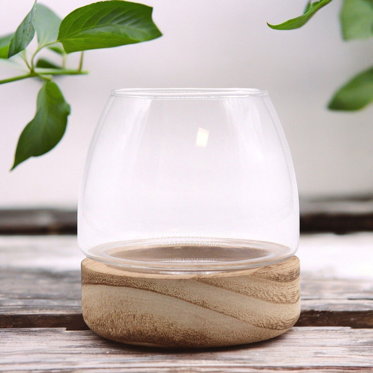 Mini Terrarium, Natural Tung Wood, 10x10cm – view 2