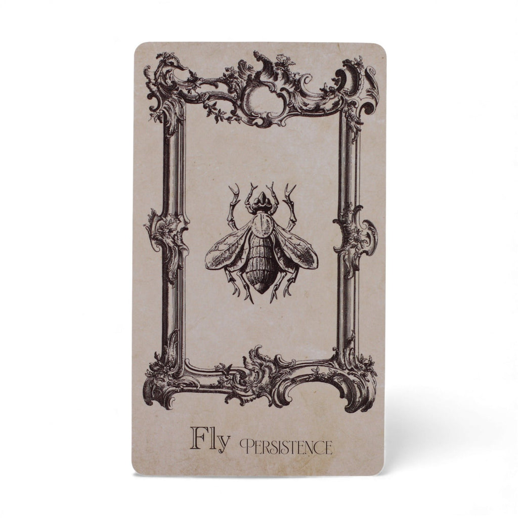 The Spellbook Oracle Cards - Witchcraft Deck