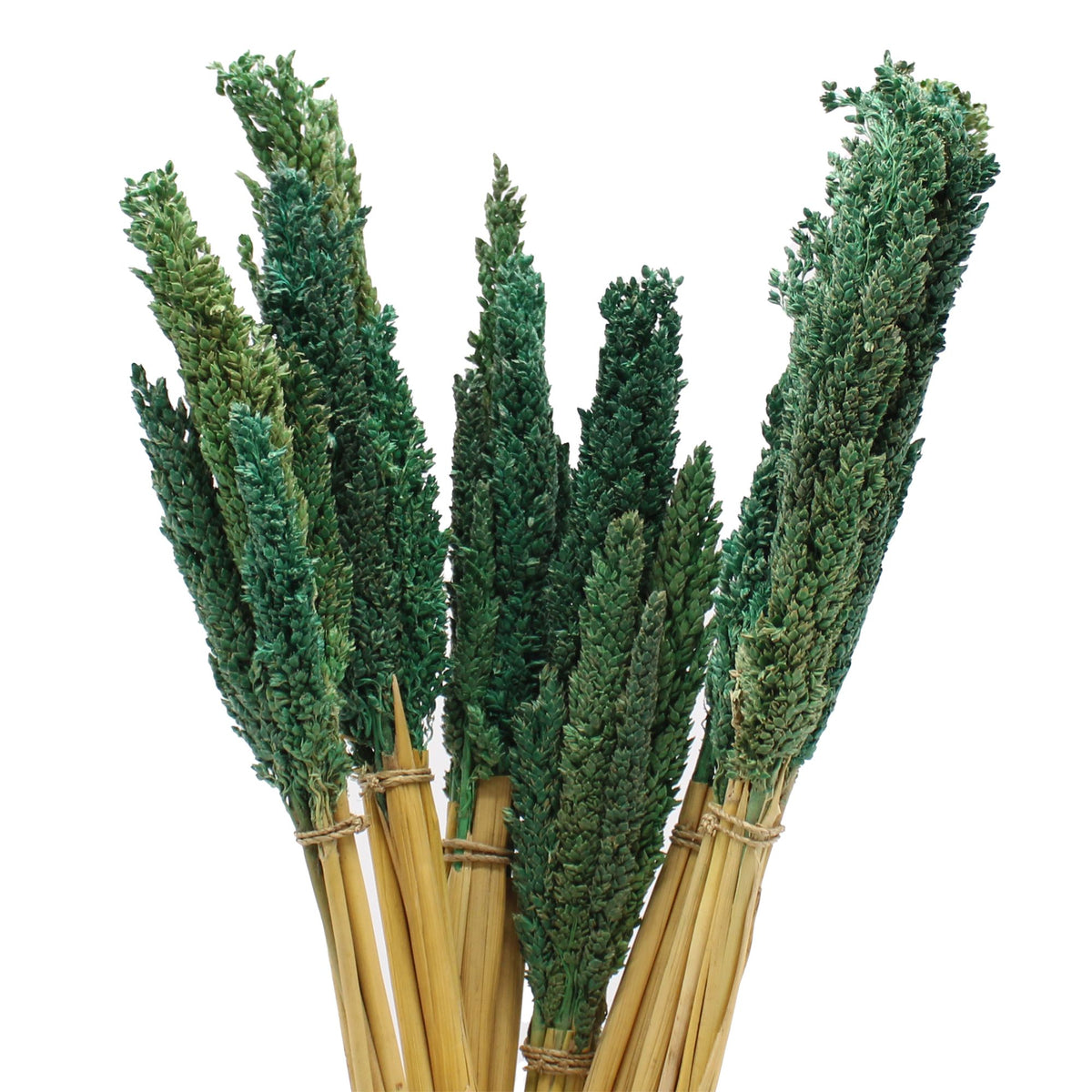Cantal Grass Bunch - Teal (Set of 6) – view 5