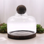 Extra Large Ball Top Terrarium, Dark Tung Wood, 23cm