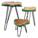 Set of 3 Gamal Wood Plant Stands - Greenwash – view 2