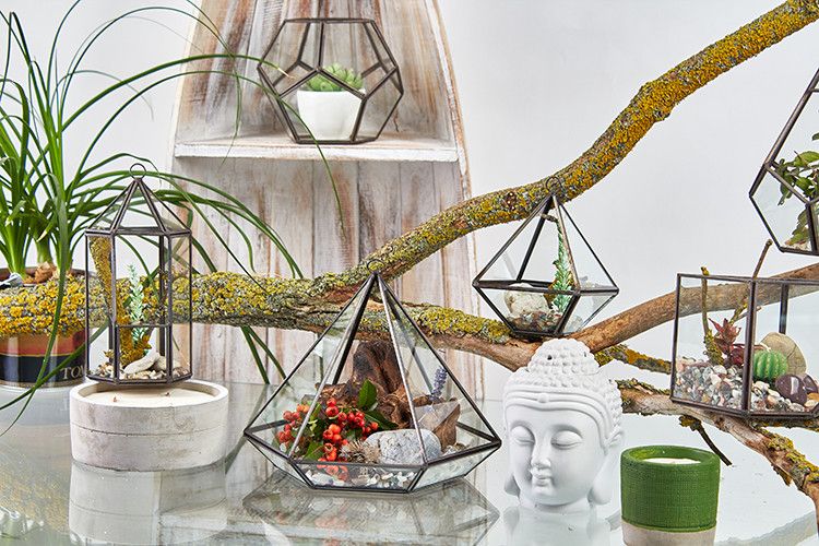 Glass Terrarium, Small Diamond – view 6