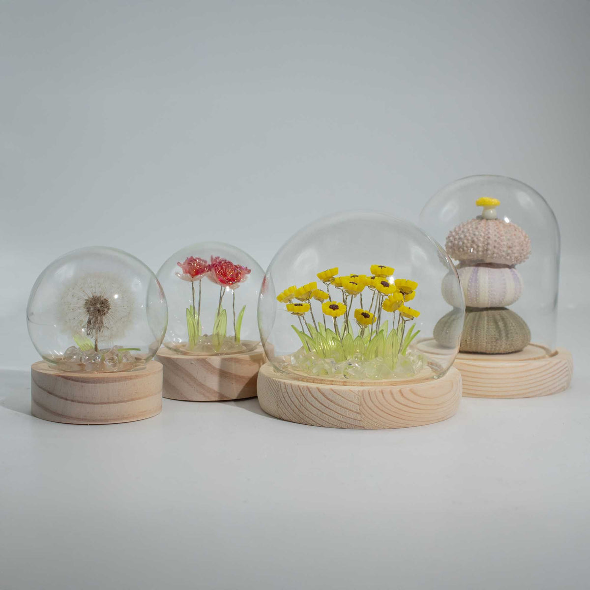 Floral Glow Dome - Multi Tulips, LED USB