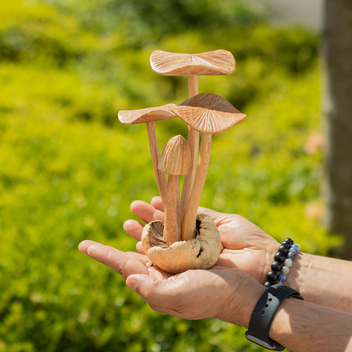 Parasite Wood Carving - Set of 4 Tall Mushrooms – view 5