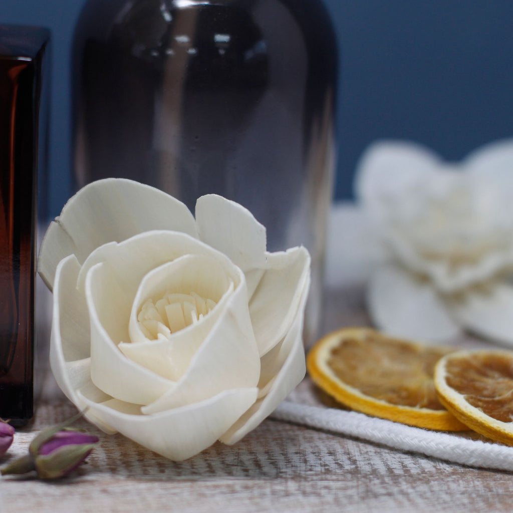 Sola Wood Carnation Diffuser Reeds, Set of 4