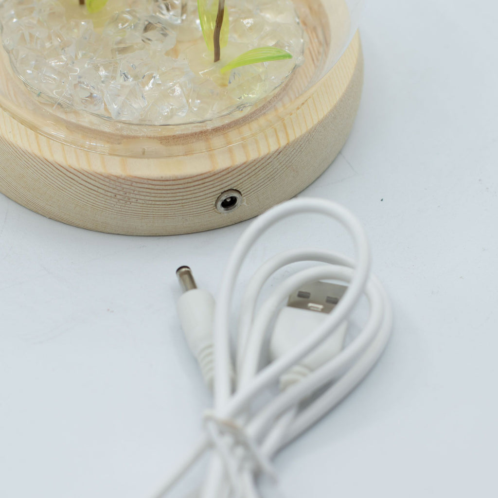 Floral Glow Dome - 2 Dandelions, LED USB – view 3