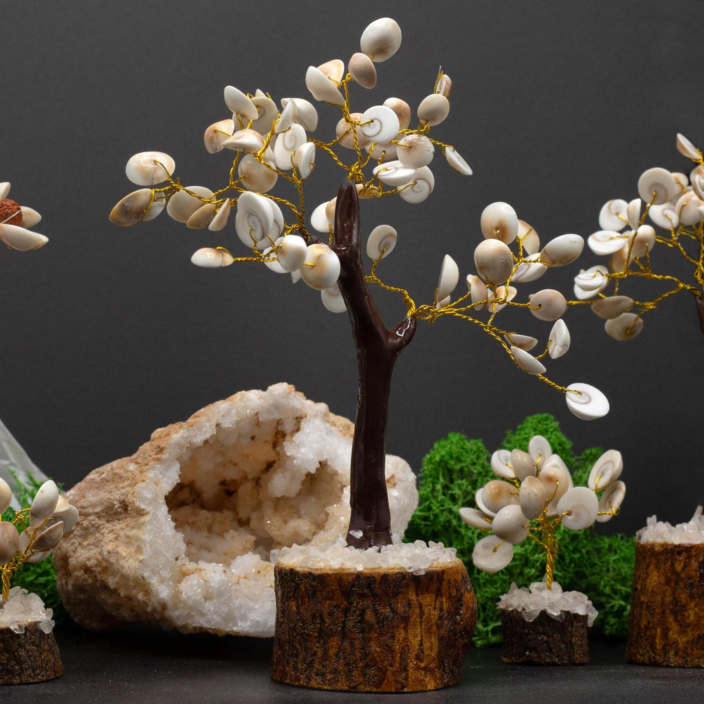 Large Gomati Chakra Stone Tree, 60 Stones – view 3