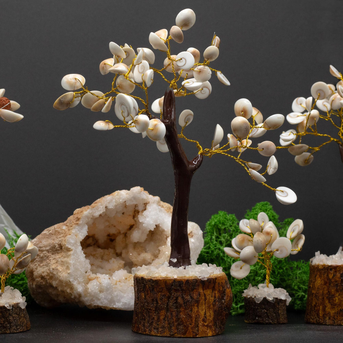 Large Gomati Chakra Stone Tree, 60 Stones – view 3