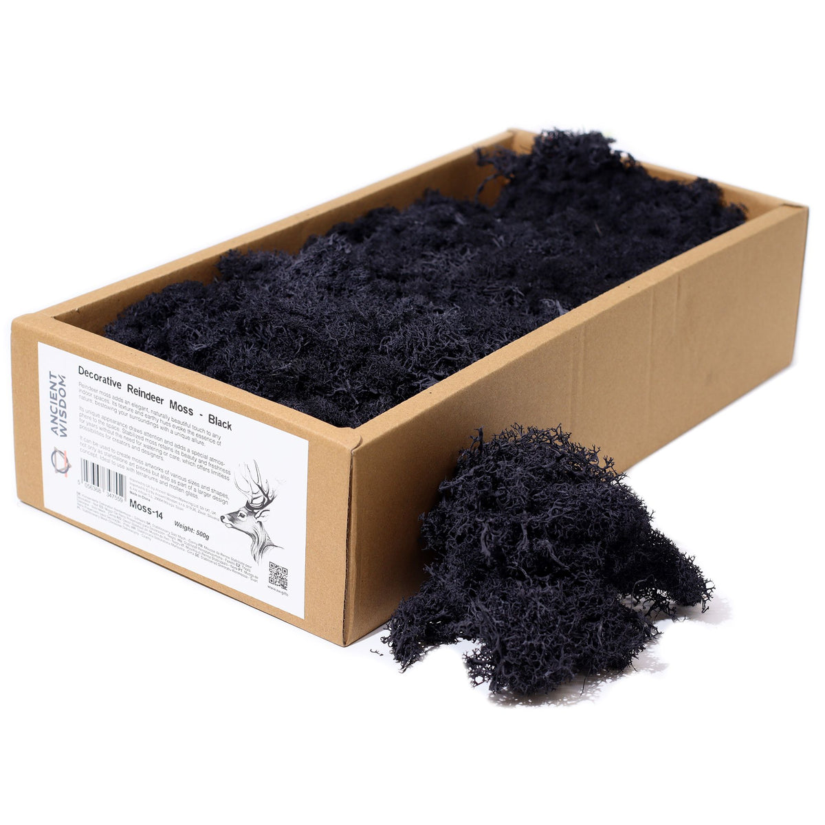 Preserved Reindeer Moss - Black - 635 g Box
