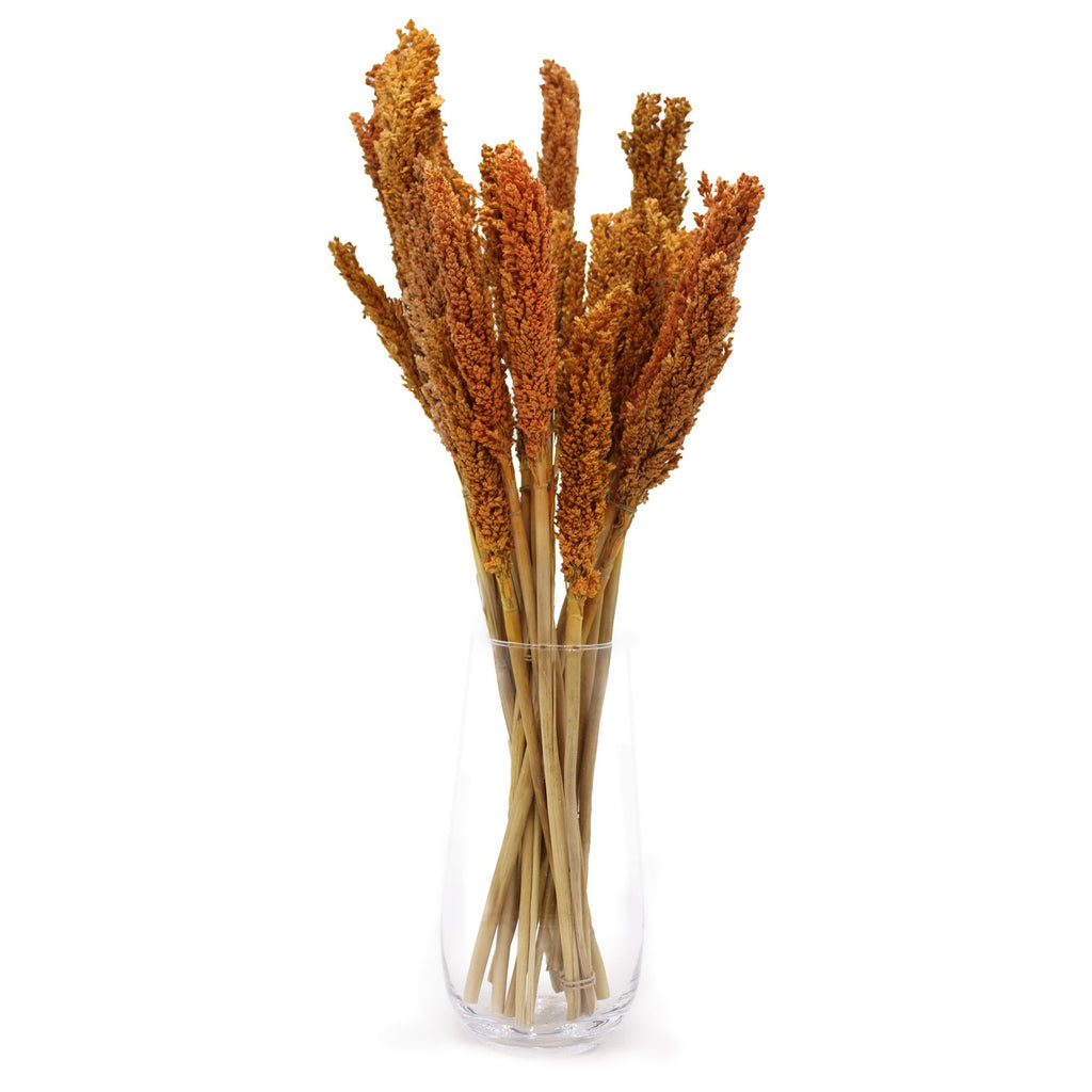 Cantal Grass Bunch - Orange (Set of 6)