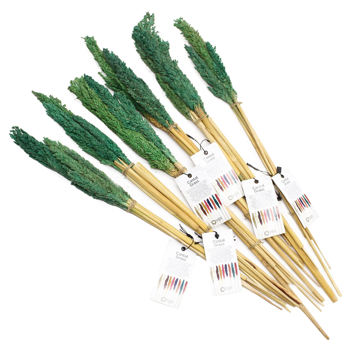 Cantal Grass Bunch - Teal (Set of 6) – view 4
