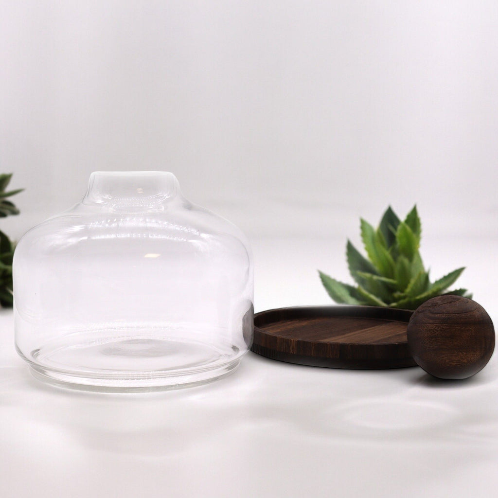 Extra Large Ball Top Terrarium, Dark Tung Wood, 23cm – view 4