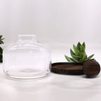 Extra Large Ball Top Terrarium, Dark Tung Wood, 23cm – view 4