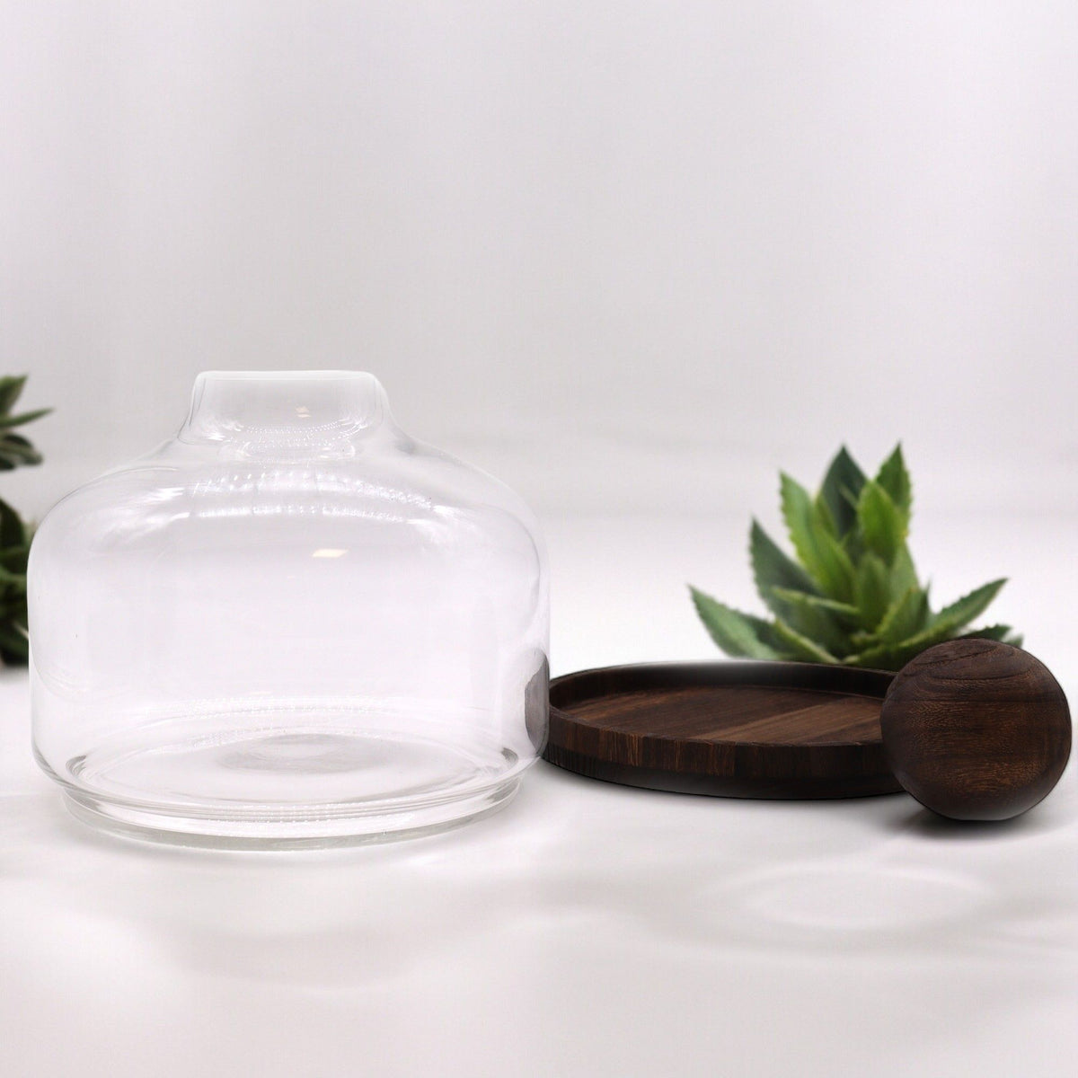 Extra Large Ball Top Terrarium, Dark Tung Wood, 23cm – view 4