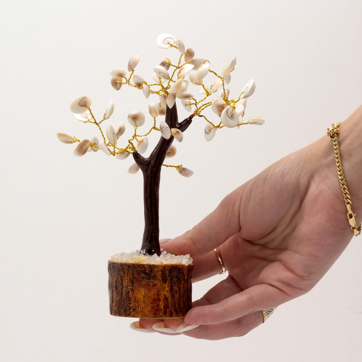 Large Gomati Chakra Stone Tree, 60 Stones – view 2