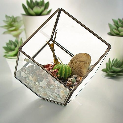 Glass Terrarium, Cube on Corner – view 4