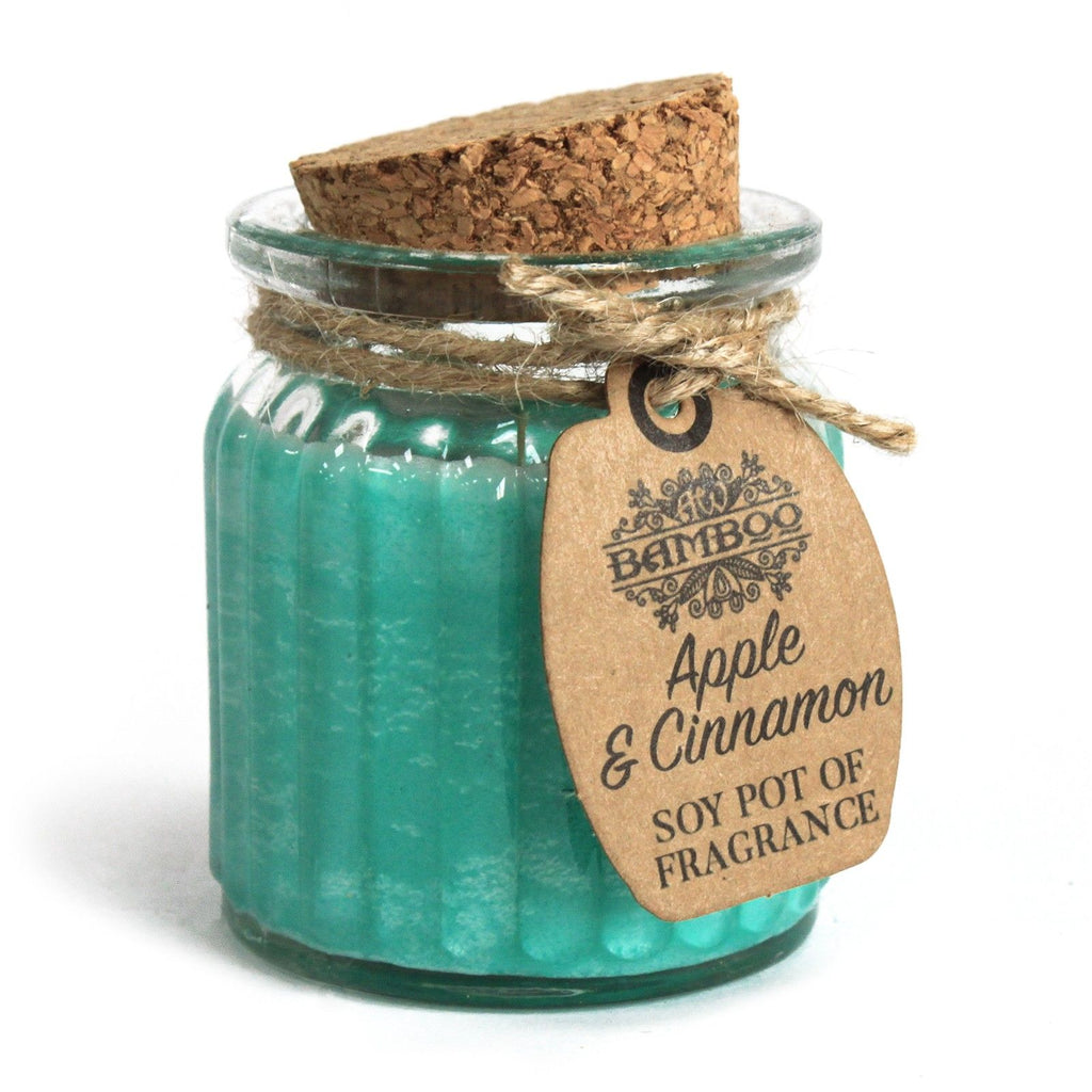 Apple and Cinnamon Soy Wax Fragrance Candle Pot