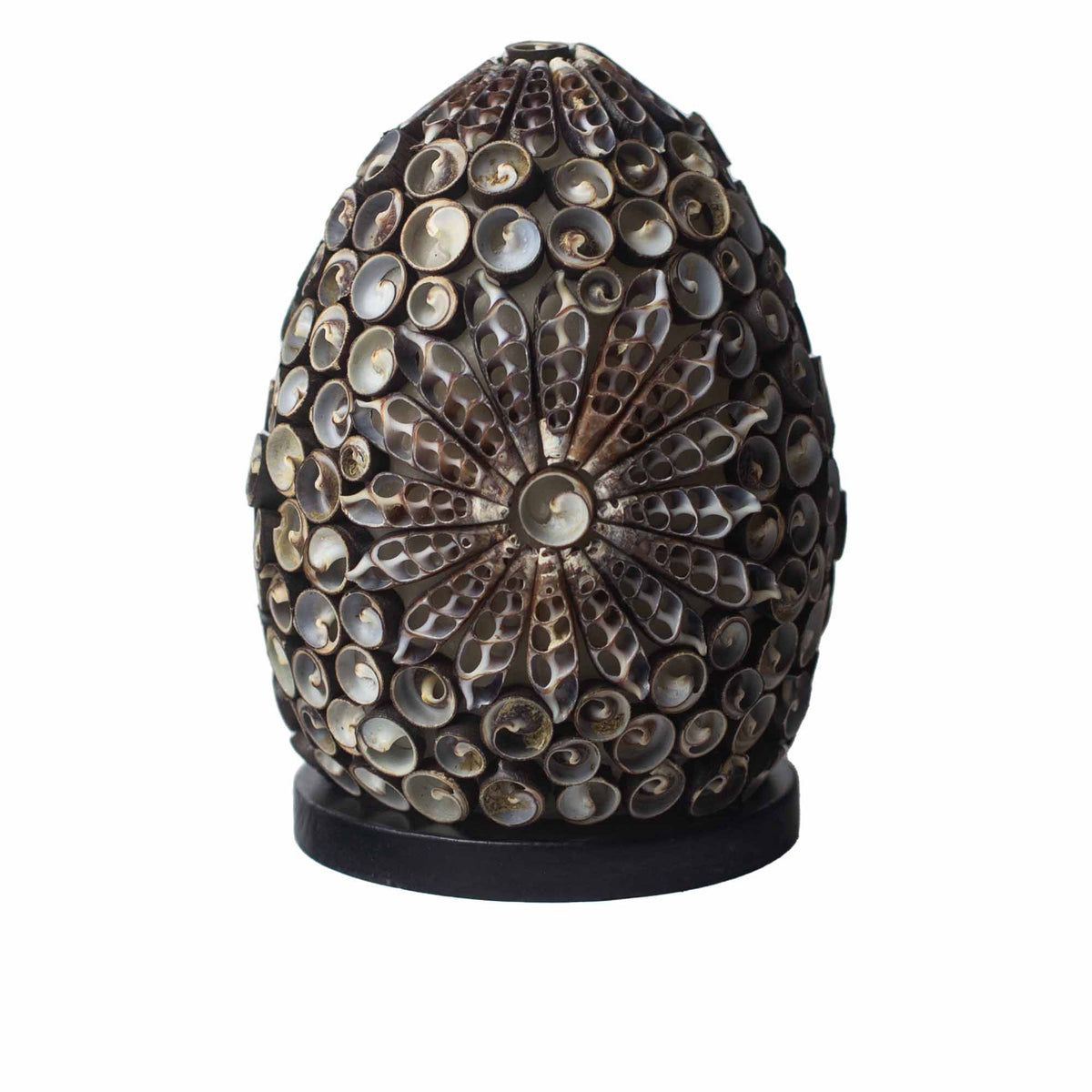 Boho Seashell Lamp - Chocolate Twist Oval, 15cm