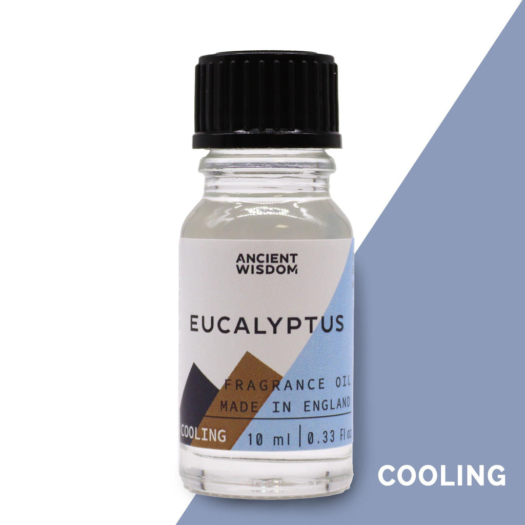 Eucalyptus Fragrance Oil, 10ml
