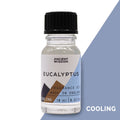 Eucalyptus Fragrance Oil, 10ml