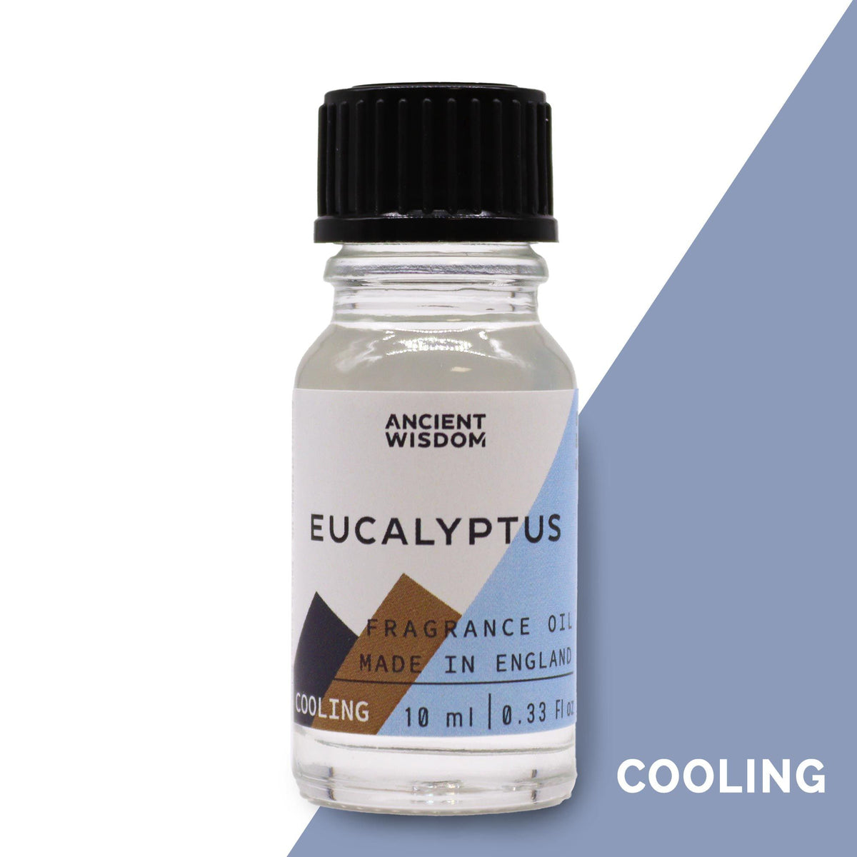 Eucalyptus Fragrance Oil, 10ml