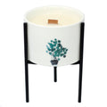Iron Botanical Candle Holders - Pack of 3