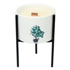 Iron Botanical Candle Holders - Pack of 3