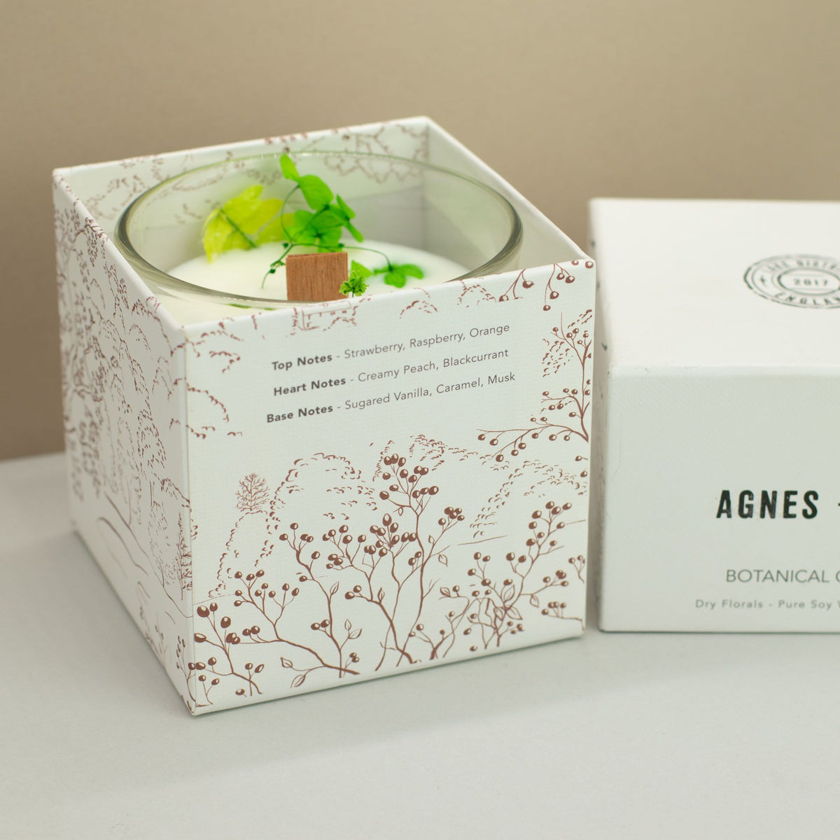 Agnes + Cat Botanical Soy Wax Candle - Fellberry – view 7